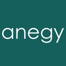 Anegy Digital Consulting